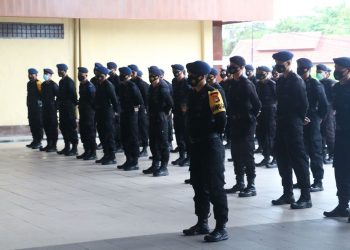 Sejarah Kelahiran Korps Brimob Polri yang Hari Ini Rayakan HUT Ke-76